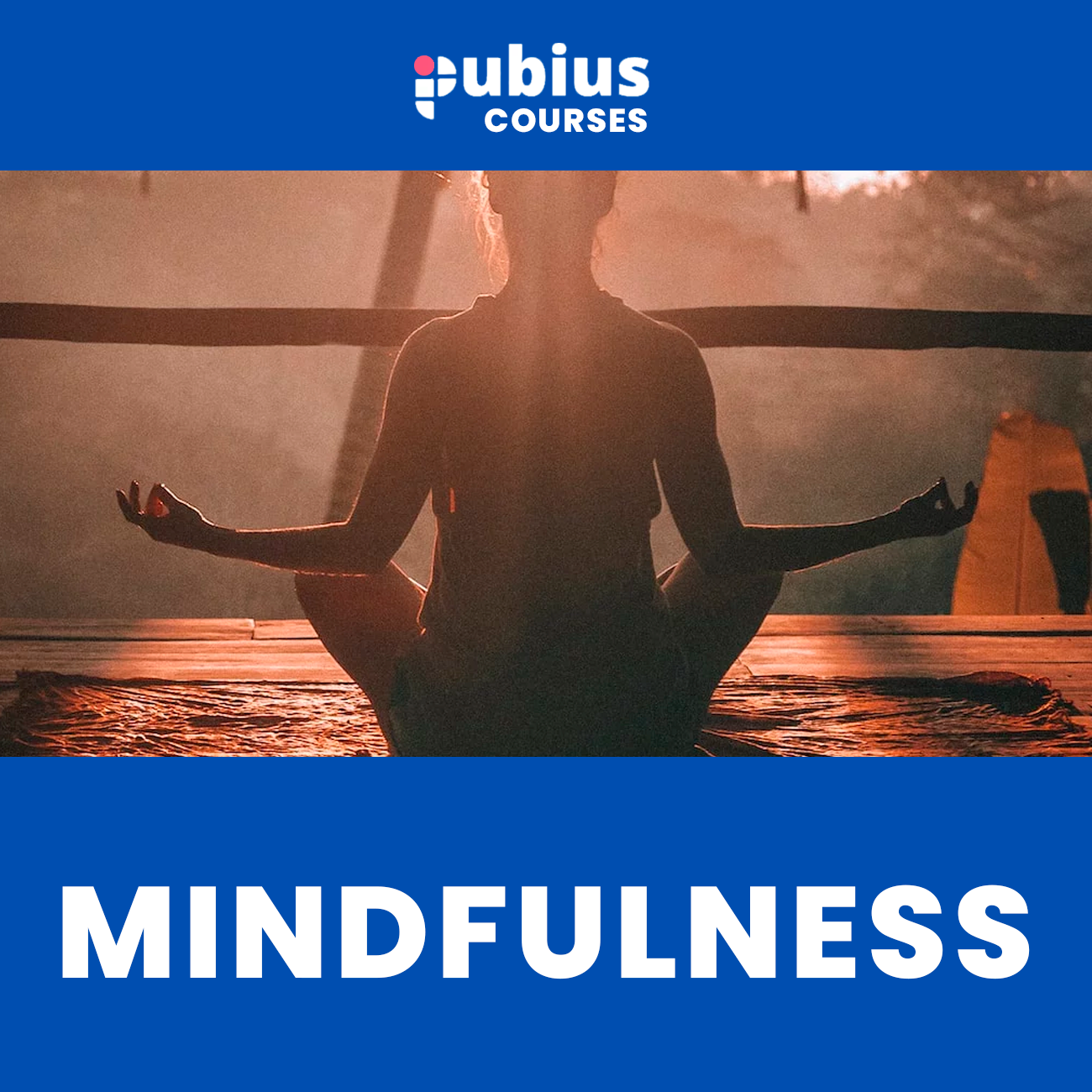 The impact of Mindfulness on your Business image 0