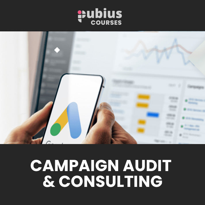 Campaign Audit & Consulting